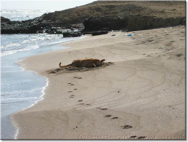 http:\\www.magucke.de