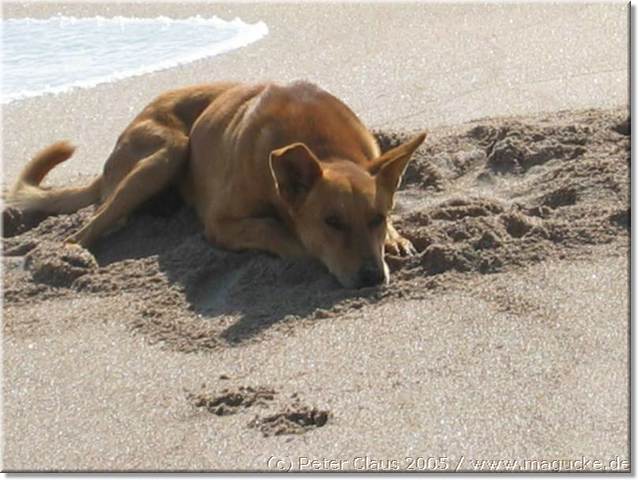 http:\\www.magucke.de