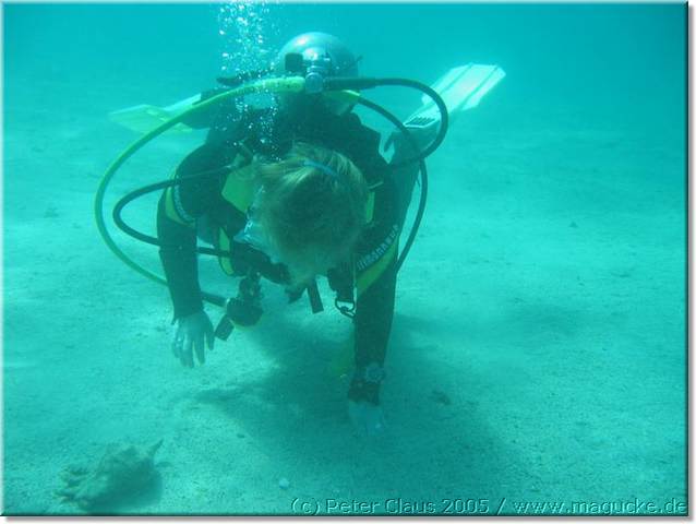 http:\\www.magucke.de