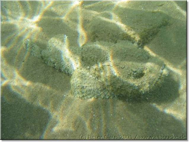 http:\\www.magucke.de