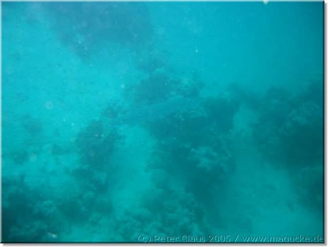 http:\\www.magucke.de