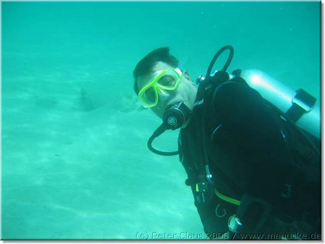 http:\\www.magucke.de