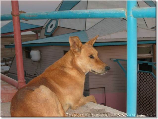 http:\\www.magucke.de