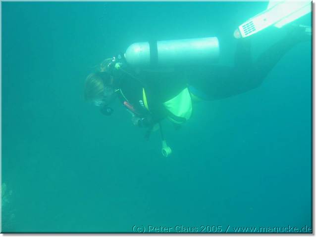 http:\\www.magucke.de