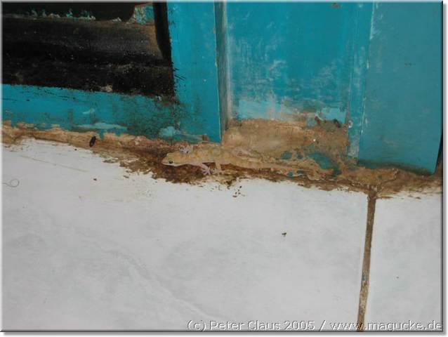 http:\\www.magucke.de